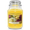 Yankee Candle Tropical Starfruit 411 g