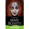 E-kniha Skrze šílenství - Ondřej Sabo