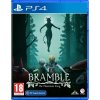 Bramble: The Mountain King (PS4) 5060264378371