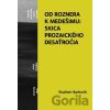 Od Roznera k Medešimu: Skica prozaického desaťročia - Vladimír Barborík