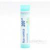 Nux Vomica gra.1 x 4 g 200CH
