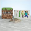 Hrací karty Minecraft