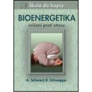 Bioenergetika - cvičení proti stresu - SCHWARZ A. SCHWEPPE R.