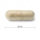Jamieson Echinacea 1200 mg 120 kapsúl