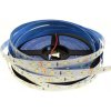 Brolux Led pásik 1m 12V SMD2835 60LED/m 9,6W/m 6000K Studená biela IP20 Dĺžka: 1m