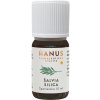 Hanus Šalviová silica 10 ml