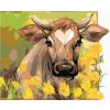 ZUTY Maľovanie podľa čísel KRAVA MEDZI ŽLTÝMI KVETMI Rámovanie vypnuté plátno na rám Rozmer 80x100 cm