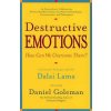 Destructive Emotions (Daniel Goleman,Richard J. Davidson,Paul Ekman,Mark Greenberg,Owen Flanagan,Matthieu Ricard)(Brožovaná)