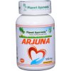 Planet Ayurveda Arjuna extrakt 8:1 500 mg 60 kapsúl