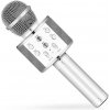 Detský mikrofón Karaoke mikrofón Eljet Globe Silver (8594176636672)