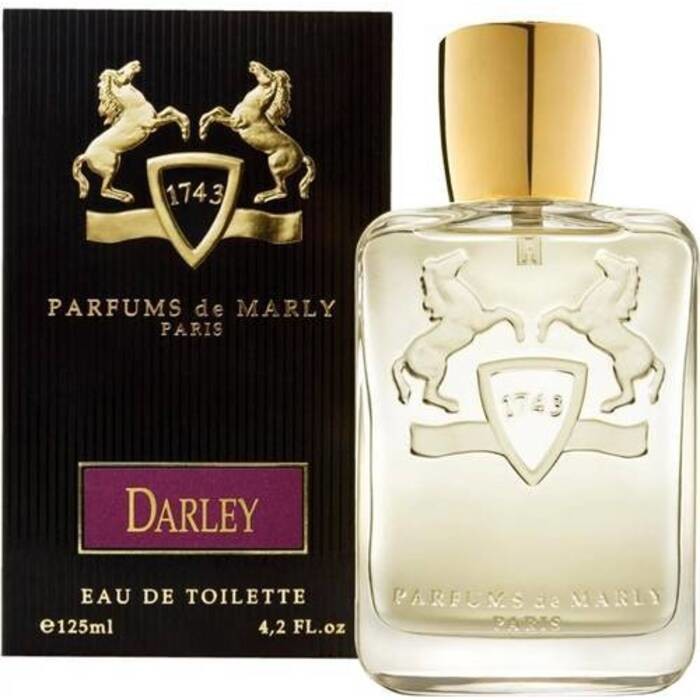 Parfums De Marly Darley parfumovaná voda pánska 125 ml