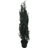 Cyprus lawsonov modrý, stĺpikový cyprus FloraSelf Chamaecyparis lawsoniana ' Columnaris Glauca' V 150-175 cm kvetináč 12 l
