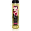 Shunga Erotic Massage Oil masážny olej Seduction 240 ml