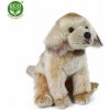 Rappa labrador sediaci 27 cm