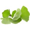 Herbarium Projekt GINKGO (Ginko), spagyric tincture, 10ml