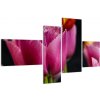 Tulipány - obrazy (Obraz 110x70cm)