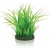biOrb Plastová rastlina - Grass Ring zelená 15 cm