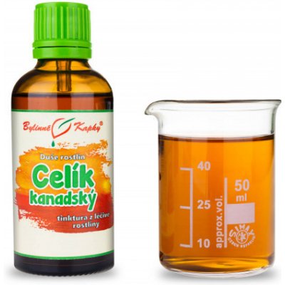 Bylinné kapky Celík zlatobyľ kanadský kvapky Duša rastlín tinktúra 50 ml