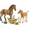 Schleich set žriebä a Quarter kôň so šteniatkom a príslušenstvom, 42432