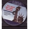 Chci mluvit jako rodilý Američan-CD - Amy Gillet