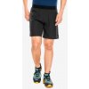 Bežecké kraťasy Dynafit Alpine Shorts - black