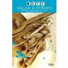Mýty Válka a střepy - Bill Willingham