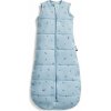 ERGOPOUCH Vak na spanie organická bavlna Jersey Dragonflies 3-12 m, 6-10 kg, 2,5 tog ZEPJB-2.5T03-12MDF23
