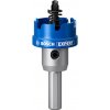 Bosch Dierovka EXPERT Sheet Metal, 31 mm 2608901414