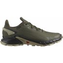 Salomon Alphacross 4 GTX M L47116900 olive night black moss gray