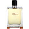 Hermes Terre D'Hermes pánska toaletná voda 100 ml TESTER