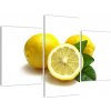 Citróny - obraz (Obraz 90x60cm)