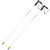 HEAD Worldcup SL 2020/21 125 cm