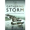 The Gathering Storm: Prelude to the Spitfire Summer of 1940 (Sarkar Dilip)