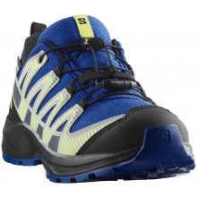 Salomon Xa Pro V8 Waterproof modrá