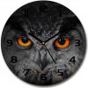 Sklenené hodiny oči sovy 30x30 Oči sovy fi 30 cm
