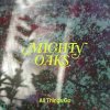 MIGHTY OAKS - ALL THINGS GO (1VINYL)