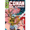 Conan der Barbar: Classic Collection (Roy Thomas,Gary Hartle)(Pevná)