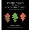 Woody Plants of the Northern Forest