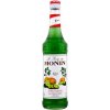 Monin Kiwi 0,7l (čistá fľaša)