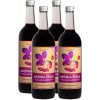 Aronia vom Langlebenhof Mesačné balenie na podporu imunity 100 % BIO šťava z arónie - jarabina čierna, Demeter, 4 x 750 ml