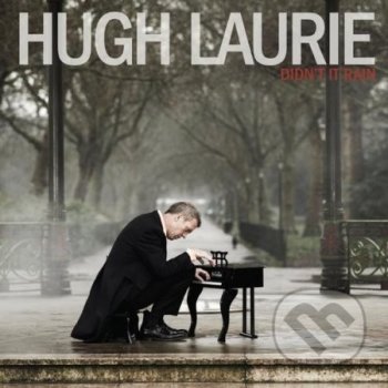 LAURIE HUGH: DIDN T IT RAIN, CD