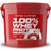 Scitec Nutrition 100% WP Professional 5000 g vanilla verry berry