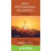E-kniha Moc přítomného okamžiku – pracovní kniha - Eckhart Tolle