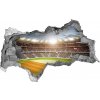 Fototapeta diera na stenu 3D Stadium poľsko 95x73 cm
