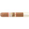A.J. Fernandez New World Connecticut Robusto (20)
