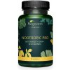 VEGAVERO Nootropic PRO komplex 90 kapsúl