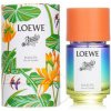 Loewe Paula´s Ibiza Eclectic unisex toaletná voda 100 ml