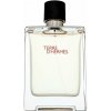 Hermes Terre D'Hermes toaletná voda pre mužov 100 ml