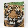 Vymalujsisam.sk Maľovanie podľa čísiel - Tigria hlava 2 Veľkosť: 40x50cm, Rám: Na kartónovej doske