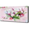 Foto obraz tlačený na plátne Kvety magnolie 100x50 cm